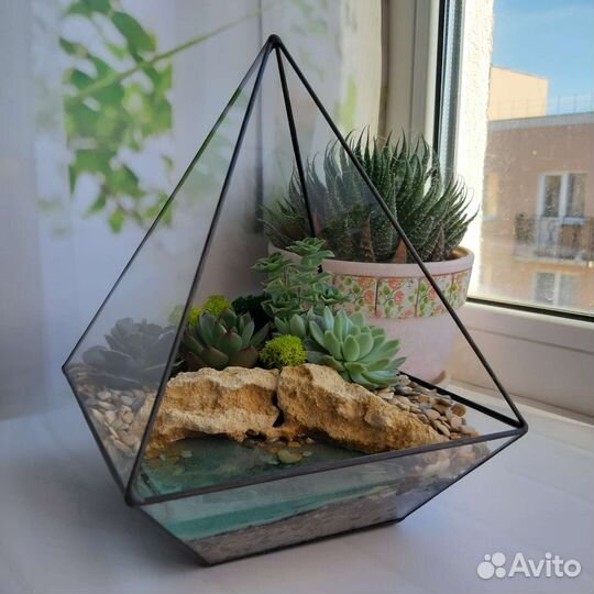 Флорариум. цветы