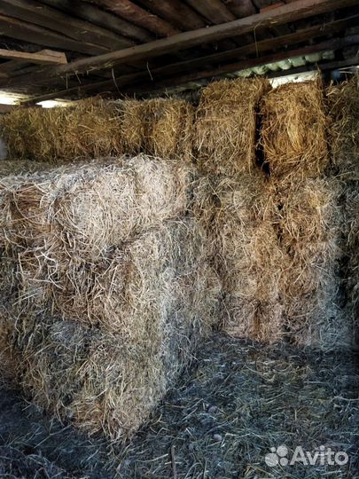 Сено люцерны в тюках