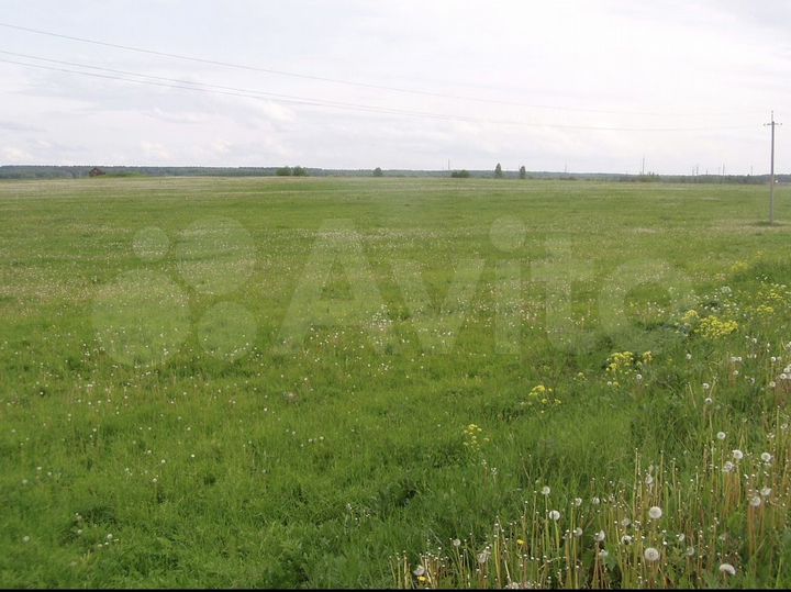 Участок 18 га (СНТ, ДНП)