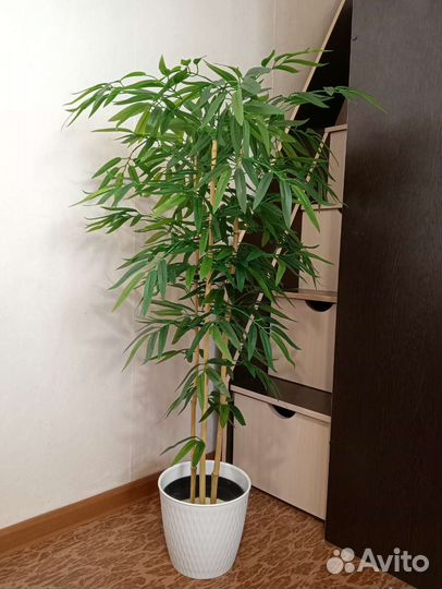 Бамбук/фикус Бенджамина/искусственное дерево
