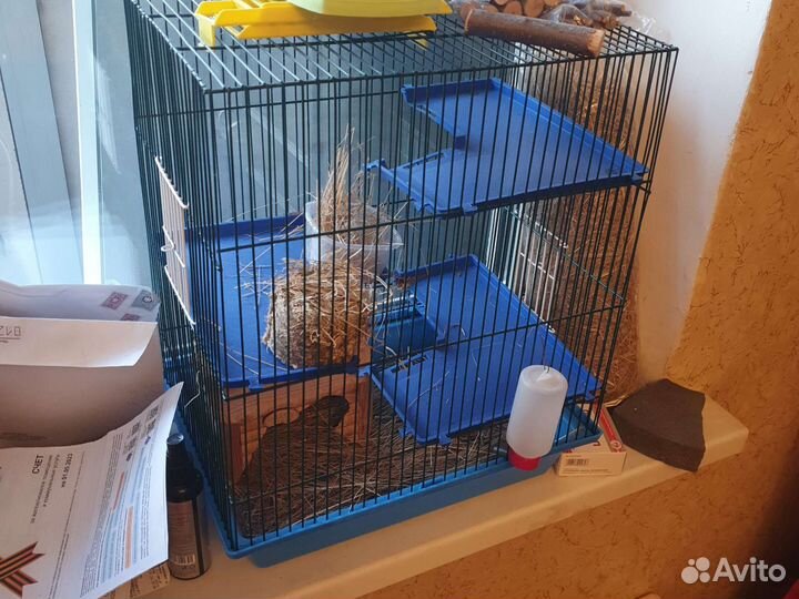 Клетка для дегу