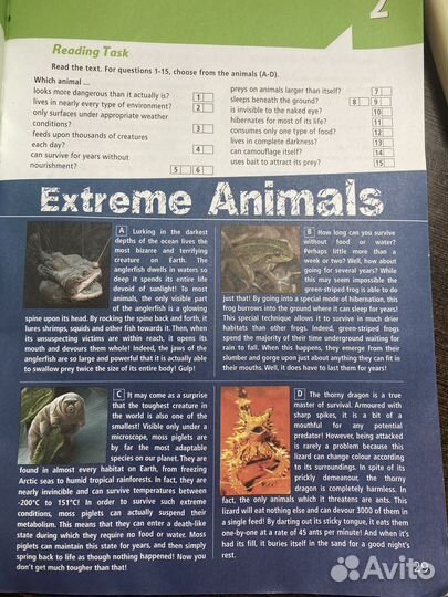 Рабочая тетрадь по английскому Starlight 9 класс