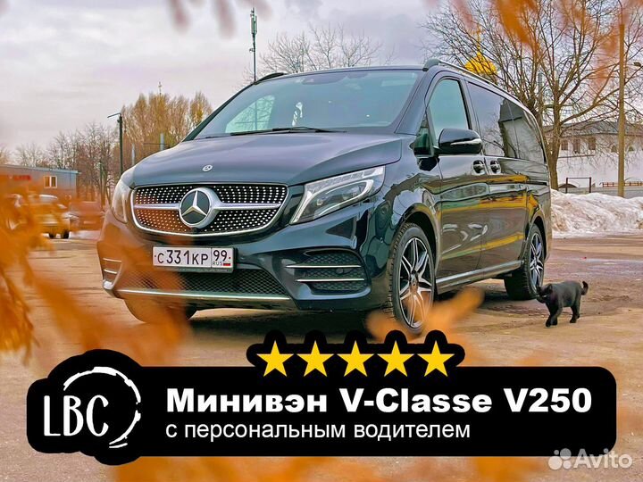 Аренда Минивэна с водителем на Свадьбу, Поездки