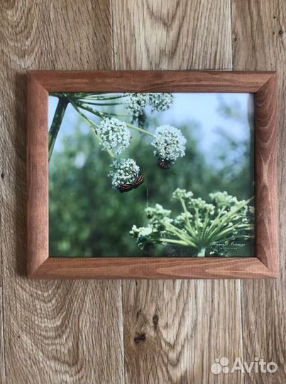 Рамка с фотографией живой природы
