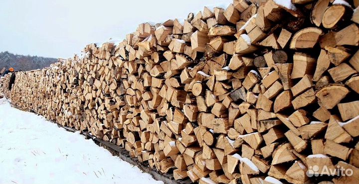 Дрова Береза