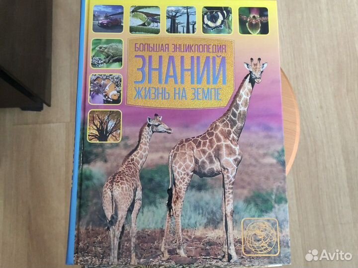 Большая энциклопедия 6 штук о разном
