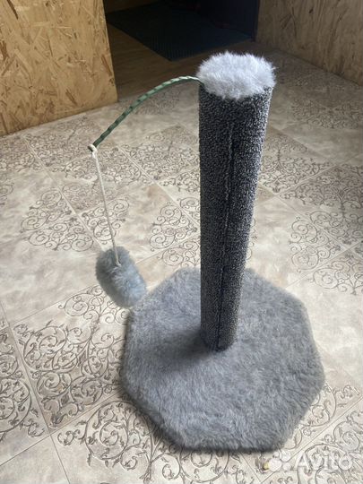 Когтеточка