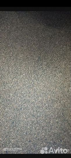 Семена Вики яровой