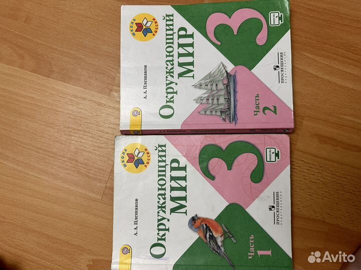 Окружающий мир 3 класс