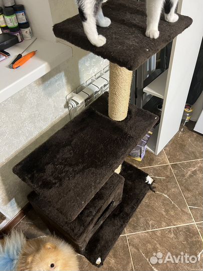 Когтеточка с домиком бу