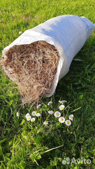 Сено для домашних животных