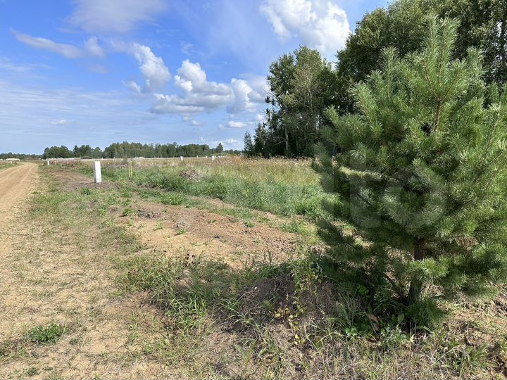 Участок 10 сот. (СНТ, ДНП)