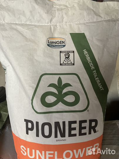 Семена подсолнечника Кортева (Пионер)