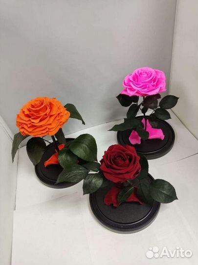 Роза в колбе оптом и в розницу