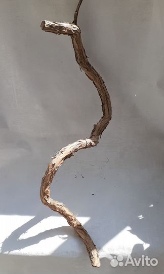 Коряга виноградная лоза в террариум