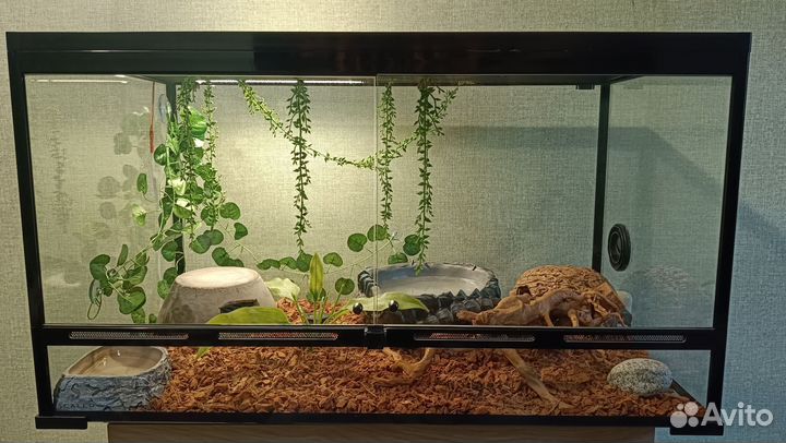Террариум 804545