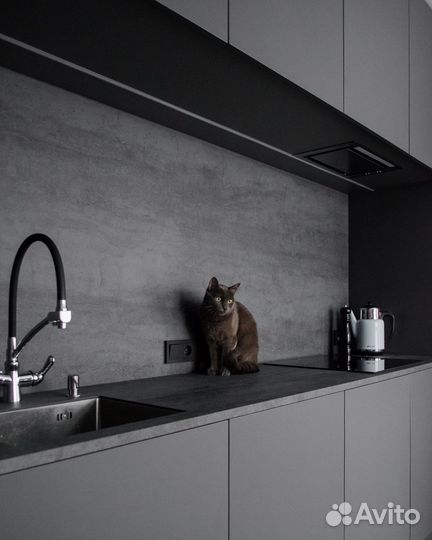 Дизайнерская кухня