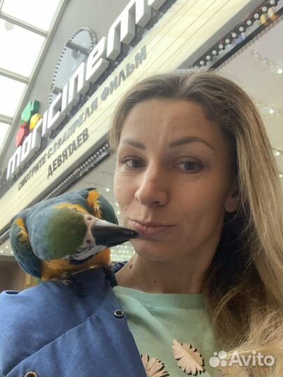 Зоопсихолог для попугаев/Приручение/Дрессировка