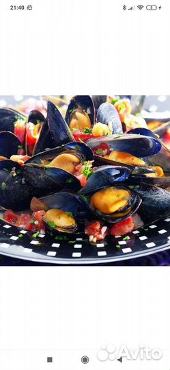 Мидии в раковине