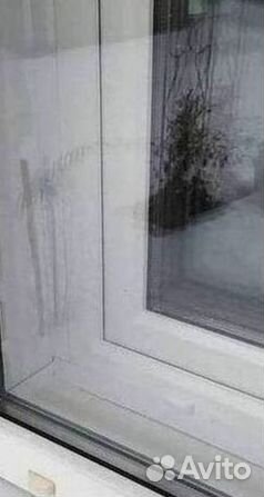 Окна и балконы новые