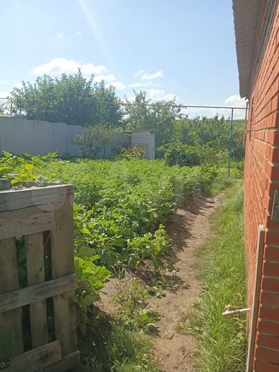 Дом 64,2 м² на участке 10 сот.