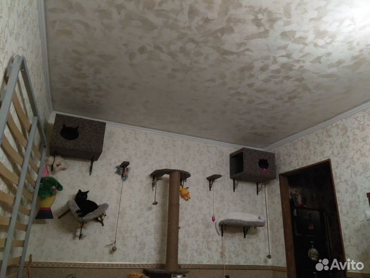 Комплекс для кошек, собак