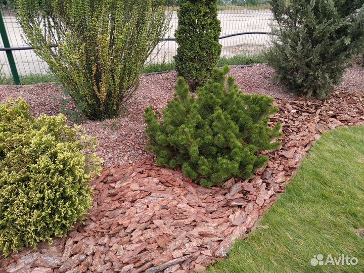 Кора, мульча сосна: 