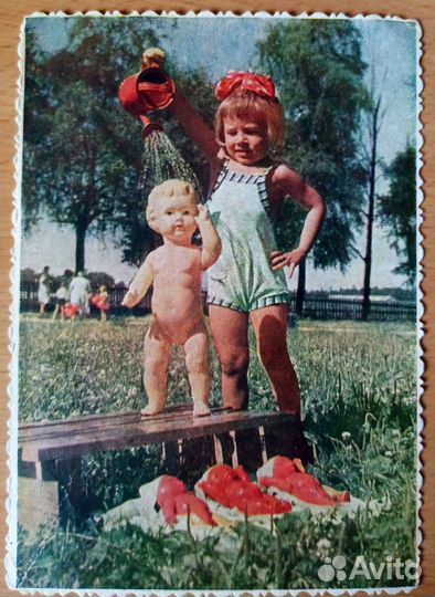 Открытки 1954 - 1969