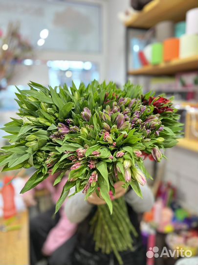 Альстромерия