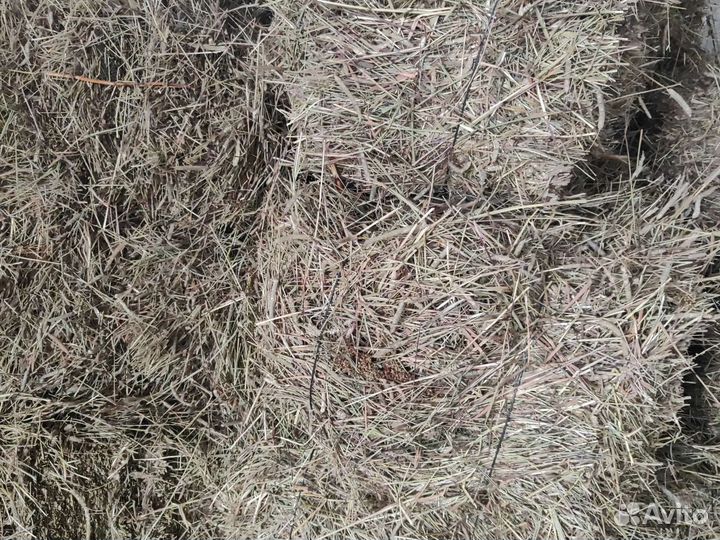 Сено тюки