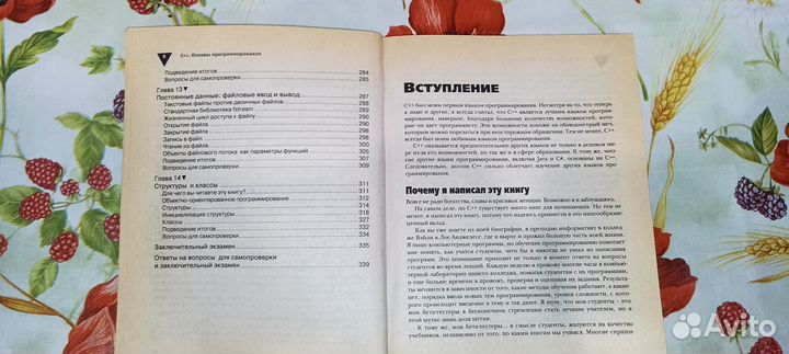 C++ Основы программирования Самоучитель Джефф Кент