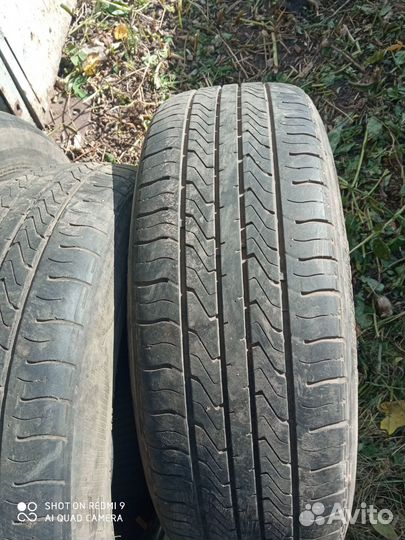 Accelera Accelera 205/65 R16