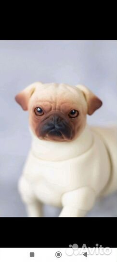 Шарнирная собака бжд мопс