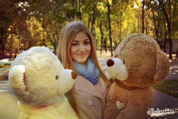 Плюшевые Мишки