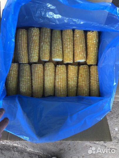 Сладкая кукуруза