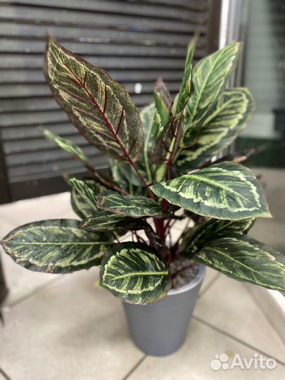 Искуственные деревья, цветы