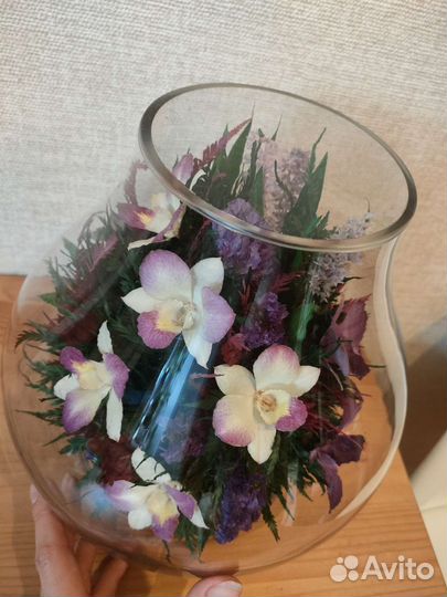 Живые цветы в вакууме