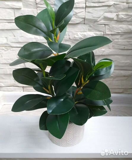 Искуственные растения