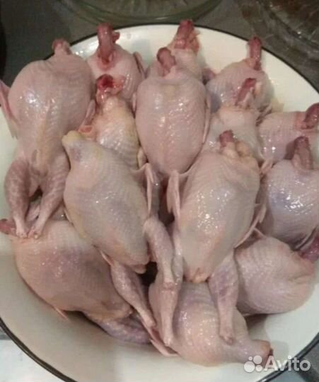 Мясо перепелов, домашнее