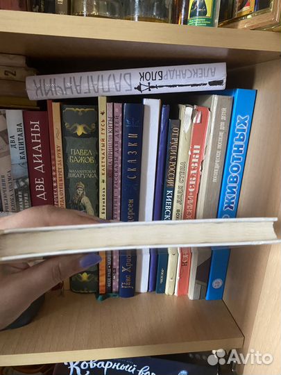 Картинный словарь Русского Языка, Баранников