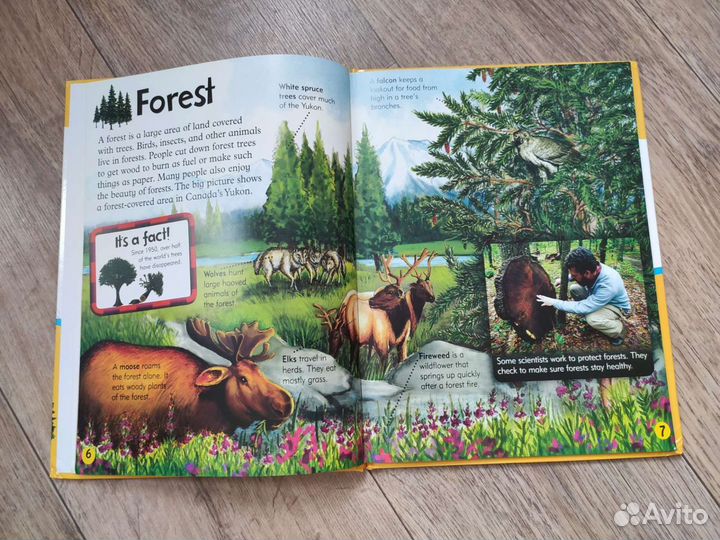 World book. Learning Ladders 2