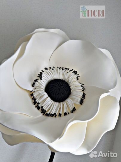 Большая анемона