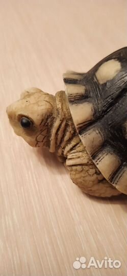 Черепаха сувенир. Шри-Ланка