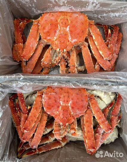 Оптом Краб Камчатский