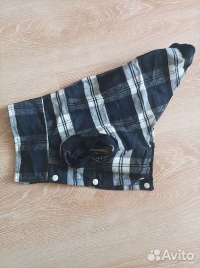 Одежда для маленьких собак