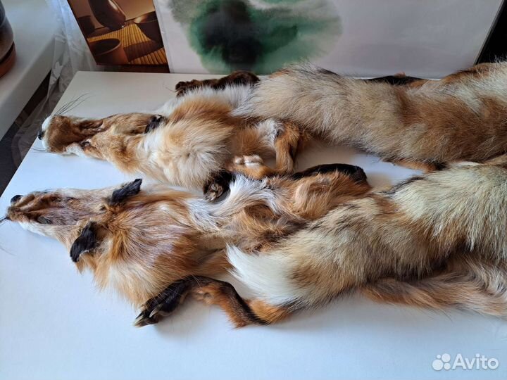 Шкурка лисы мех хвост 2 шт