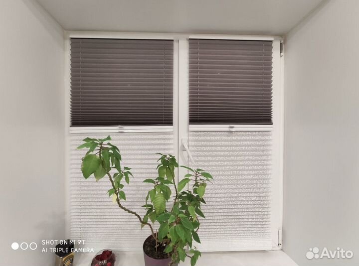 Плиссерованные жалюзи