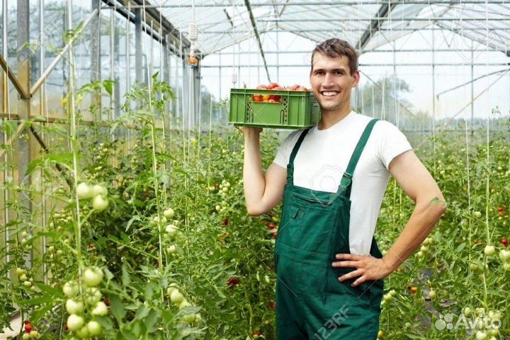 Разнорабочий вахта с проживанием