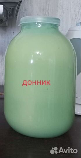 Мёд Донника