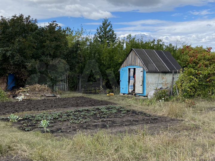 Участок 6,5 сот. (СНТ, ДНП)